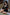 Real Lady Sexdoll Katsuko