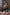 Real Lady Sexdoll Katsuko
