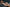 Real Lady Sexdoll Jasmin