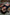 Real Lady Sexdoll Katsuko
