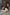 Real Lady Sexdoll Katsuko