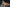 Real Lady Sexdoll Jasmin
