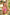 Real Love Doll 165cm Victoria