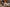 [US In-Stock] Irontech Doll – New Asian Sex Doll 166cm S32