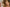 Real Lady Sexdoll Zofia