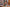 Voluptuous Sex Doll TPE 153cm Jane