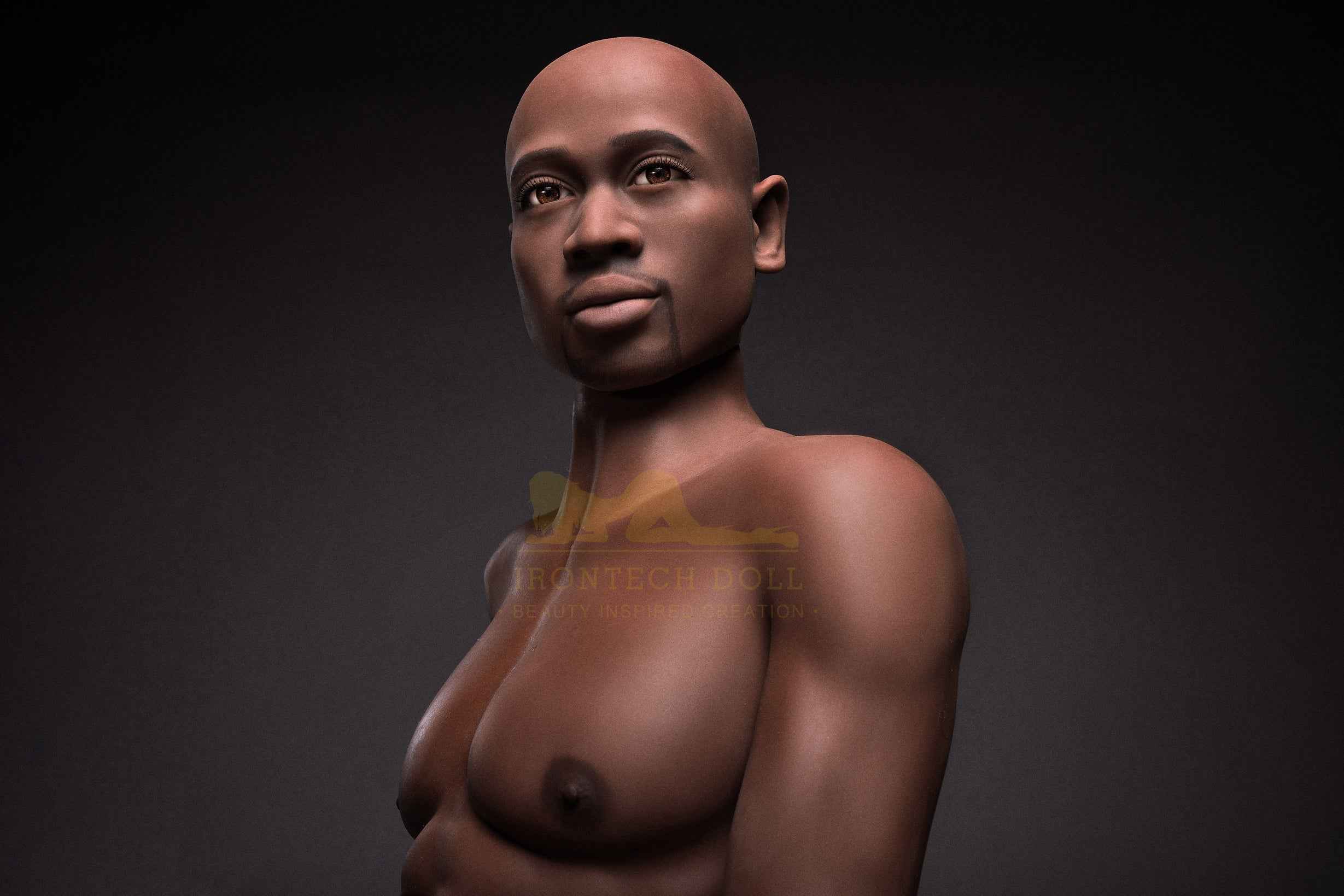 Irontech Doll männliche Sex Doll Darius