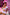 Best MILF Sex Doll 168cm S13 Celine