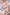 Cat Girl Sex Doll 167cm Lexi | Valentine’s Day Theme