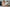 Tomboy Sex Doll Short Hair Love Doll 166cm S45 Tina