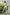 Black Hair Asian Sex Doll 169cm S36 Nabi