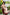 Black Hair Asian Sex Doll 169cm S36 Nabi