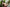 Black Hair Asian Sex Doll 169cm S36 Nabi