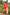 Sexy Velma Cosplay Sex Doll 167cm S44 Molly