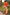 Sexy Velma Cosplay Sex Doll 167cm S44 Molly