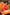 Sexy Velma Cosplay Sex Doll 167cm S44 Molly