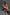 Real Lady Sexdoll Ashley