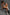 Real Lady Sexdoll Ashley