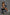 Real Lady Sexdoll Ashley