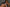 Real Lady Sexdoll Ashley