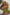 XTDoll Sexpuppe Jina