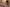XTDoll Sexpuppe Selina