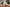 Life Size Love Doll 165cm Plus Ella