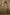 Starpery Sexpuppe Melisandre