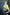 Starpery Sexpuppe Daisy