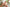 TPE Sex Doll 166cm Scarlet Elf