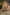 Starpery Sexpuppe Cynthia