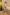 Starpery Sexpuppe Gigi