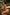 Aibei Sexpuppe Vivien