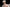 JigglyJoy Torso Carrie
