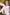 Doll Castle Sex Doll Akihana