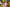 Doll Castle Sex Doll Akihana