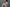 [Wonder Dolly] Sasha – Elegant & Alluring 165cm T5 Sex Doll