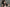 [Wonder Dolly] Top Korean Sex Doll 159T ROS T4 Evie – The Ultimate K-Beauty Fantasy