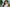 Asian Real Sex Doll 166cm G2 Lingnai