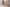 Cute Cat Girl Sex Doll 165cm S20 ROS Suki
