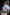 [US In-Stock] Blonde Sex Doll 165cm S29 Fenny – A Vision of Seduction