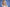 [US In-Stock] Furry Sex Doll 165cm S32 Kitty – A Fantasy Come to Life