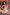Irontech Doll Sexpuppe Anya