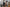 150cm TPE Schoolgirl Sex Doll - Victoria - Realistic & Life-Sized