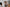 150cm TPE Schoolgirl Sex Doll - Victoria - Realistic & Life-Sized