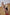 Victoria Gymnast – 150cm TPE Sex Doll by Irontech Doll