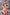 Irontech Doll Sexpuppe Anyasa