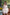 Doll Castle Sex Doll Kiko
