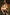 Real Lady Sexdoll Ohana