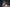 Real Lady Sexdoll Madison